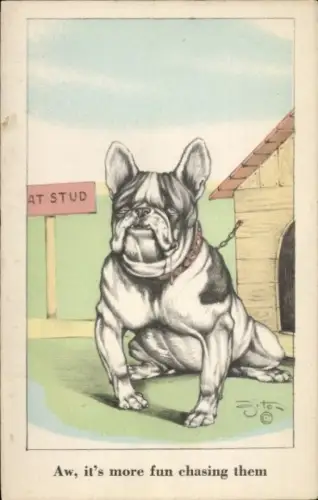 Künstler Ak Englische Bulldogge, angekettet vor einer Hundehütte