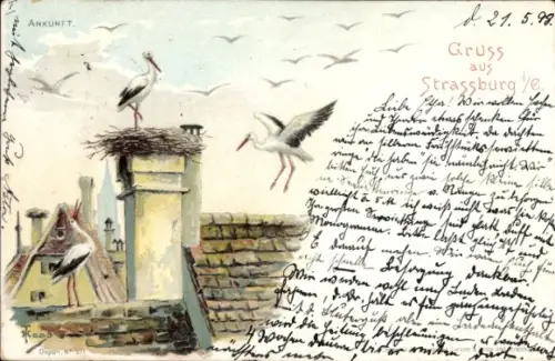 Künstler Ak Strasbourg Straßburg Elsass Bas Rhin, Ankunft der Störche