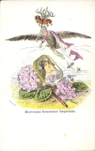 Künstler Ak Grandville, Les fleurs animées, Hortensia Couronne Impériale