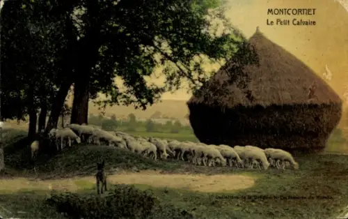 Ak Montcornet Aisne, Petit Calvaire, Schafherde
