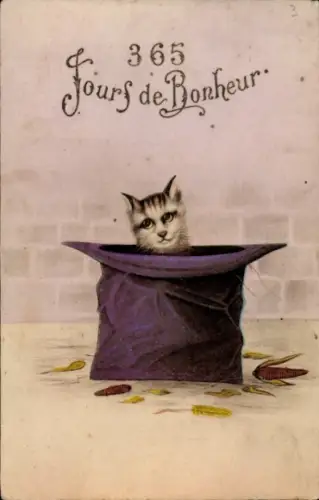 Ak 365 Tage des Glücks, Katze