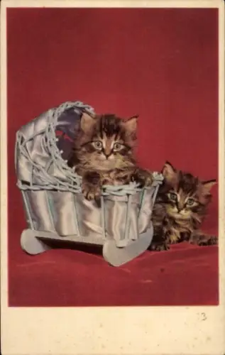 Ak Zwei Katzen, Tierportrait