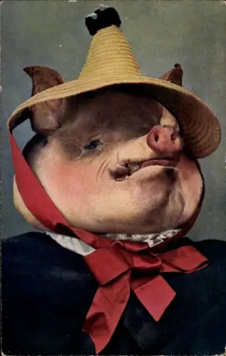 Ak Vermenschlichtes Schwein, Strohhut, Schleife