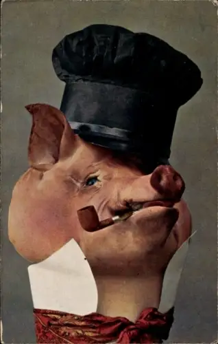 Ak Vermenschlichtes Schwein, Hut, Pfeife