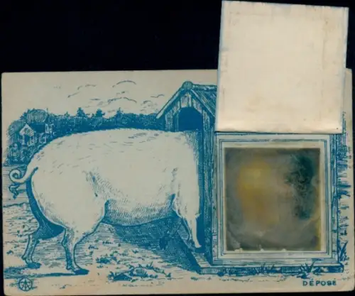 Mechanische Ak Schweine, Hundehütte, Porträt