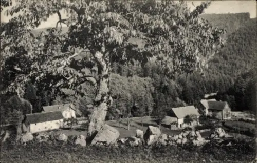 Ak Le Hohwald Elsass Bas Rhin, Eingang