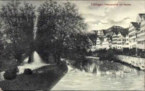 Ak Tübingen am Neckar,  Platanenallee, Neckar