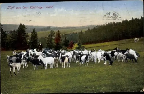 Ak Idyll aus dem Thüringer Wald, Ziegen