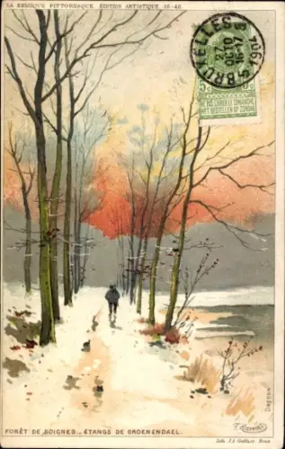 Künstler Litho Ranot, F., Waterloo Wallonien Wallonisch Brabant, Etang de Groenendael