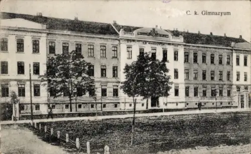 Ak Sokal Ukraine, Gymnasium