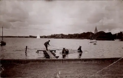 Ak Haderslev Hadersleben Dänemark, Uferpartie, Pferde im Wasser