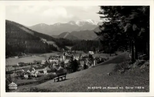 Ak Sankt Aegyd am Neuwalde Niederösterreich, Blick auf den Ort