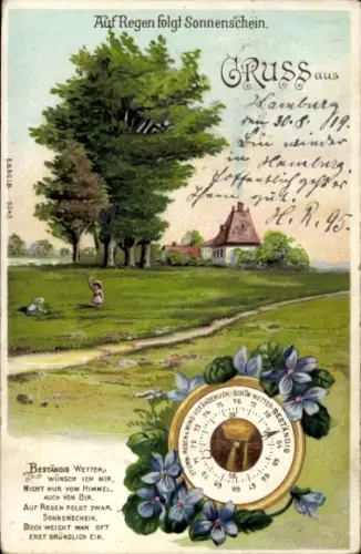 Litho Auf Regen folgt Sonnenschein, Barometer, Landschaft, Veilchenblüten
