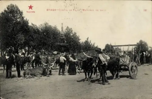 Ak Braga Portugal, Markt, Fuhrwerk