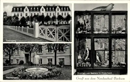 Ak Nordseebad Borkum in Ostfriesland, Toreingang, Haupteingang, Muscheln, Seetiere, Kinderheim