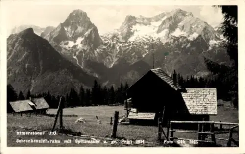Ak Hinterstoder in Oberösterreich, Schrenkenzieheralm mit Spitzmauer