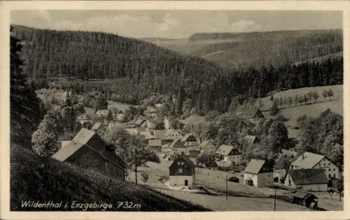 Ak Wildenthal Eibenstock im Erzgebirge , Bergtal mit Häusern und Scheune, Straßen und Bäumen, Nad