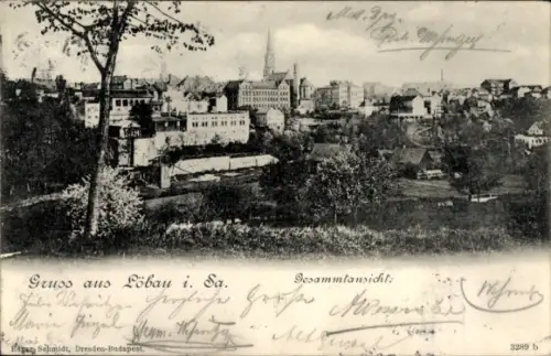 Ak Löbau in Sachsen, Baum im Vordergrund, Wiese und Gärten, Häuserzeile, Kirchturm, gedruckter Gr