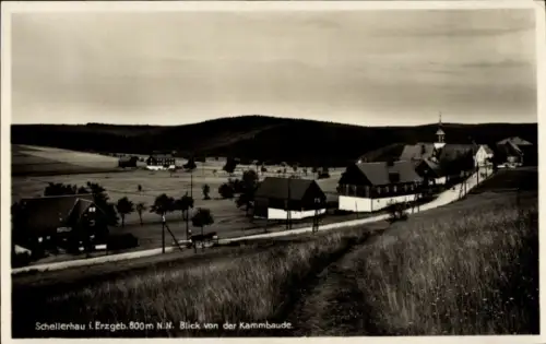 Ak Schellerhau Altenberg im Erzgebirge, Wiesenhang, Dorfstraße mit Häusern, Kirche mit Turm, Feld