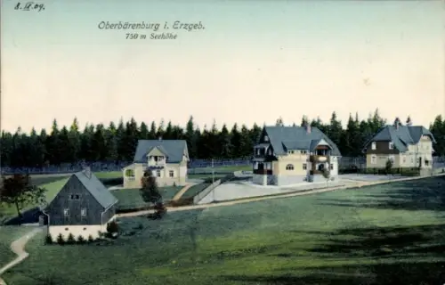 Ak Oberbärenburg Altenberg im Erzgebirge, Mehrere freistehende Villen, Rasenfläche, Zufahrtsweg, 