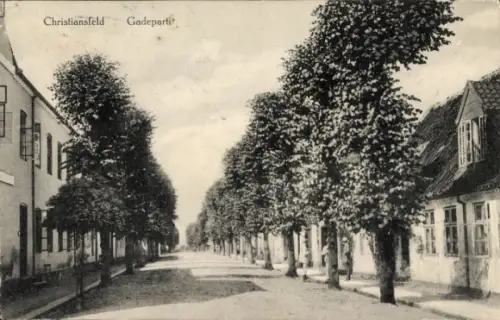 Ak Christiansfeld Kolding Dänemark, Auf einer Straße mit Bäumen, Gebäude links, ländliche Arch...