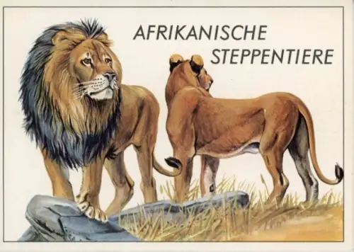 12 AK im Umschlag, Afrikanische Steppentiere, Sammelbildserie Bild und Heimat