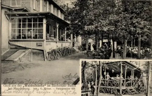 Ak Magdeburg an der Elbe,  mit dem Biederitzer Busch, Waldschänke, Radfahrer, Leute auf der Terra