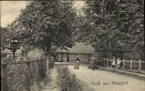 Ak Hoisdorf in Schleswig-Holstein, Gruß aus  Landstraße, Häuser, Bäume, Menschen