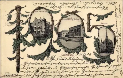 Ak Oldenburg im Großherzogtum Oldenburg, Jahreszahl 1905, Rathaus, Palais, Augusteum