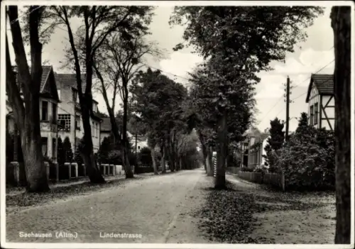 Ak Seehausen in der Altmark, Lindenstraße, Bäume, Häuser, Straßenansicht, schwarz-weiß