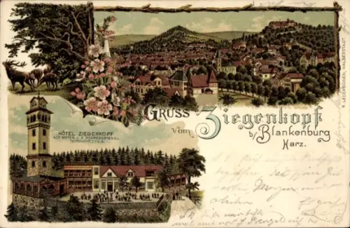 Litho Blankenburg am Harz, Panorama, Hotel Ziegenkopf