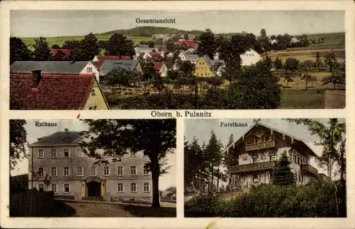 Ak Ohorn in Sachsen, Gesamtansicht Ohorn, Rathaus, Forsthaus