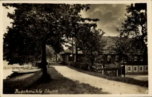 Ak Ohorn in Sachsen, Buschmühle  malerische Landschaft, Weg, Bäume, Wasserboote