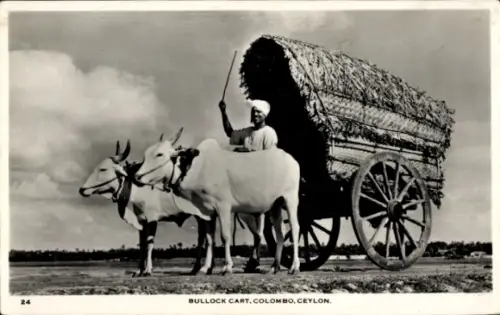 PC Colombo Ceylon Sri Lanka, Bullock Cart