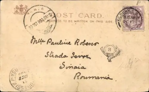 Passepartout Ak Colonel Plumer, Portrait