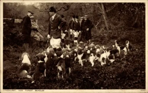 Ak Lyndhurst Hampshire England, New Forest, Fuchsjagd, Jagdszene, Hundemeute
