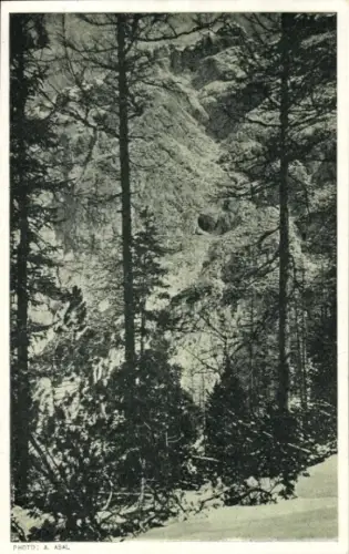 Ak Werfen in Salzburg, Eisriesenwelt im Tennengebirge, Hochkogel-Westwand, Höhleneingang