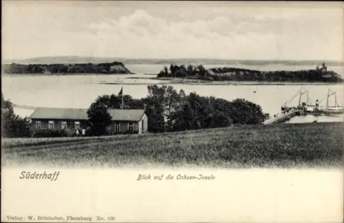 Ak Sønderhav Süderhaff Dänemark, Ochsen-Inseln