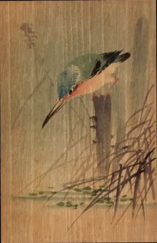 Holz Ak Vogel
