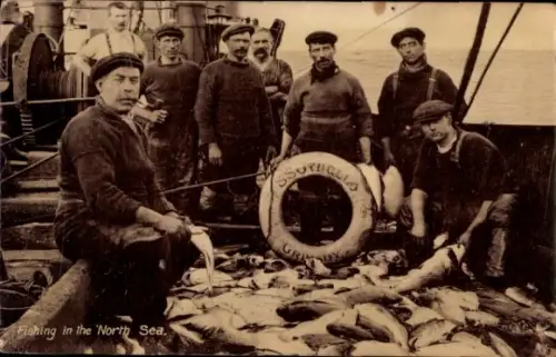 Ak Fischfang, Fischer, Nordsee, Fische