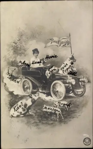 Ak Glückwunsch Neujahr, Frau im Auto, Schweine