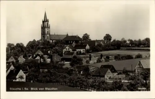Ak Staucha Stauchitz Sachsen, hoher Kirchturm mit spitzer Spitze, Wohnhäuser und Gärten, Felder, 