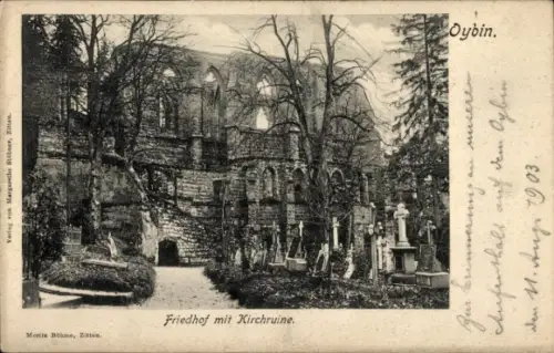 Ak Oybin in der Oberlausitz, Friedhof, Kirchruine, Grabsteine, Wege, große Bäume
