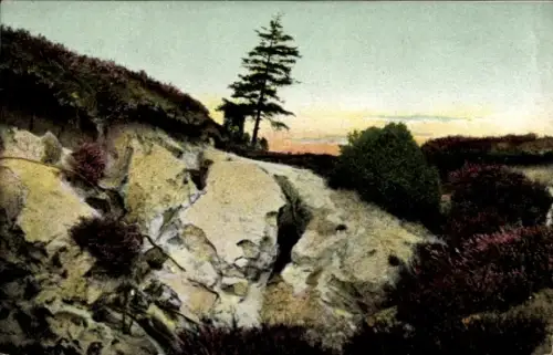 Ak Lüneburger Heide, Sandbruch