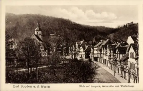 Ak Bad Sooden Allendorf an der Werra Hessen, Kurpark, Weinreihe und Westerburg