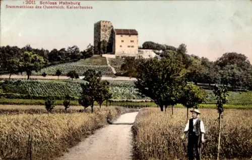 Ak Habsburg Kanton Aargau, Schloss Habsburg
