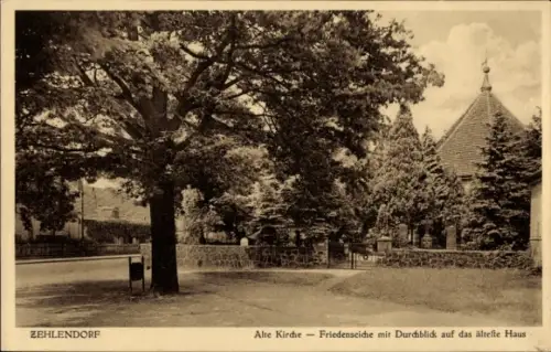 Ak Berlin Zehlendorf, Kirche, Friedenseiche, ältestes Haus