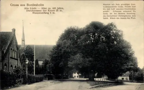 Ak Bordesholm in Holstein, alte Linde