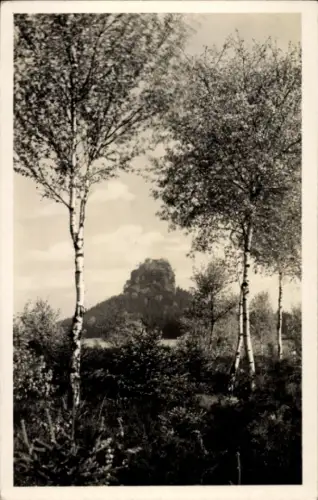 Ak Reinhardtsdorf Schöna Sächsische Schweiz, Zirkelstein