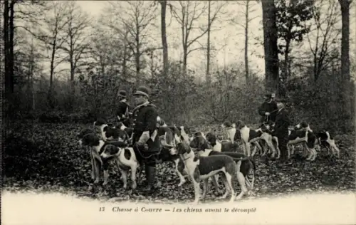 Ak Yvelines Frankreich, Chasse a courre, Les cheins avant le decouple